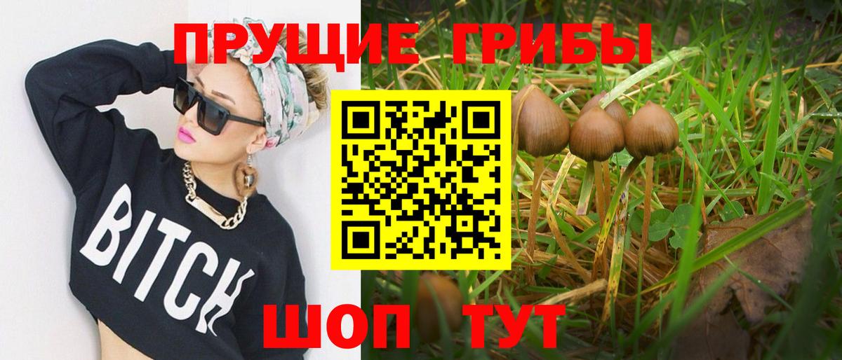 Кашира  Псилоцибиновые грибы мицелий  Вход с VPN 
