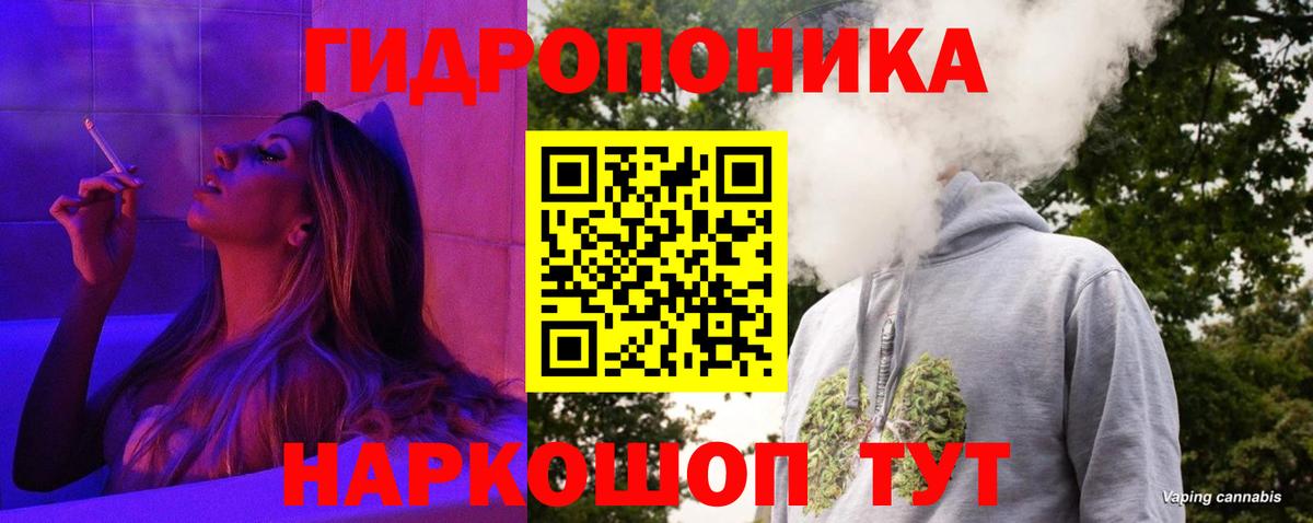 Конопля Bruce Banner Кашира